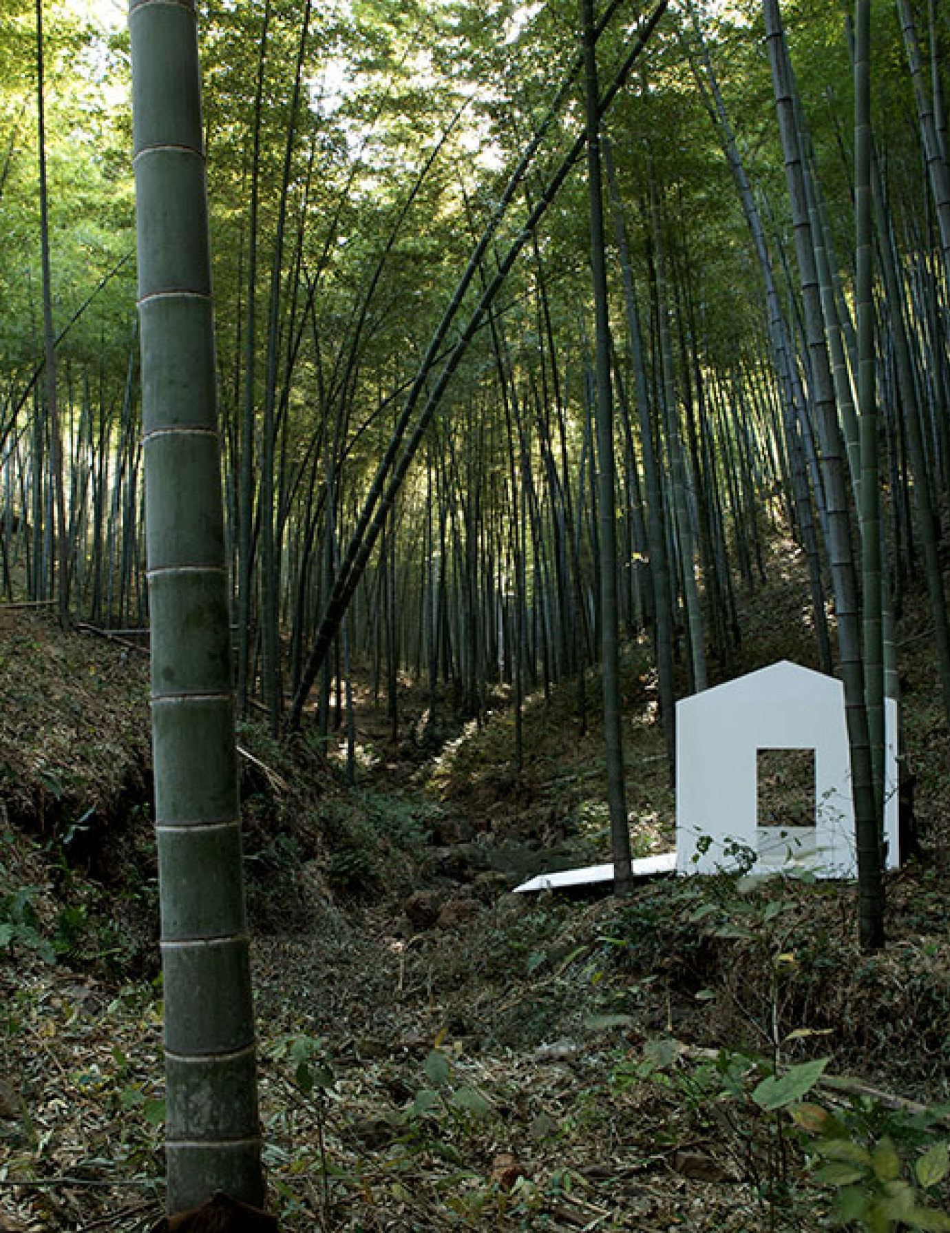 竹野仙踪 Bamboo Spirit