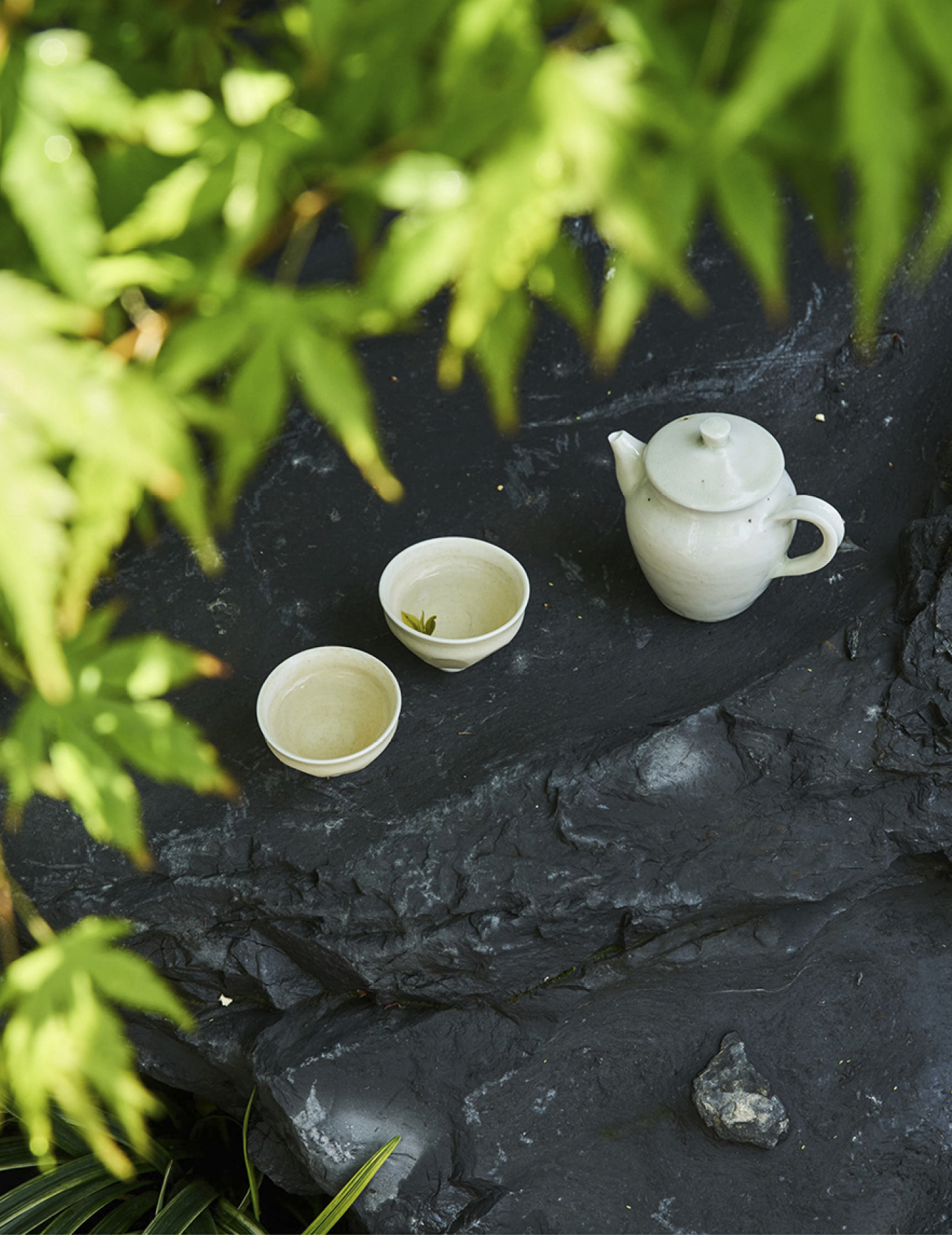 吃茶去(江南篇) | 在杏花微雨里品一杯滴翠的慢茶